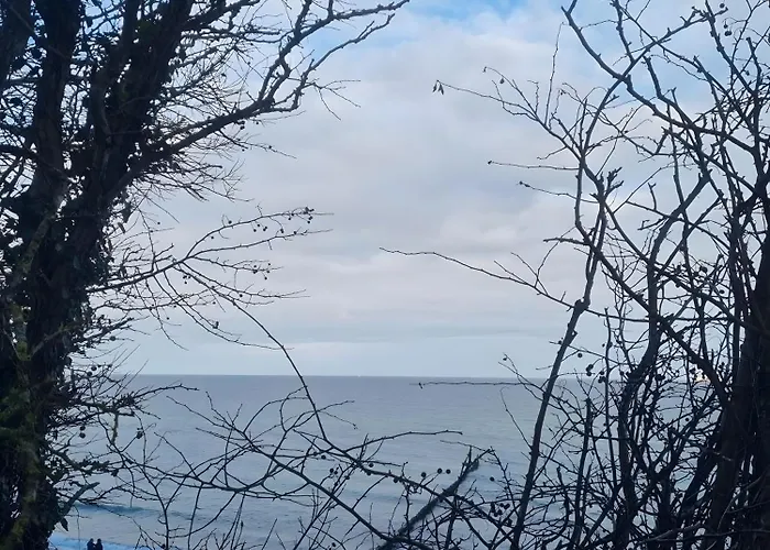 Apartamento Albrecht